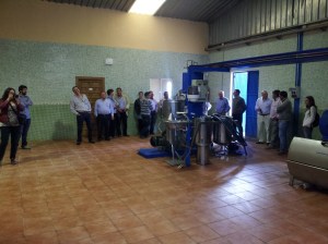 Visita bodega y almazara