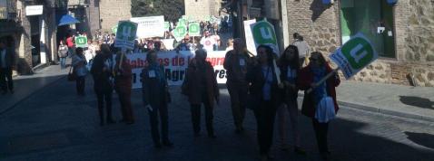 Manifestación La-Sagra-Torrijos 3, 2014
