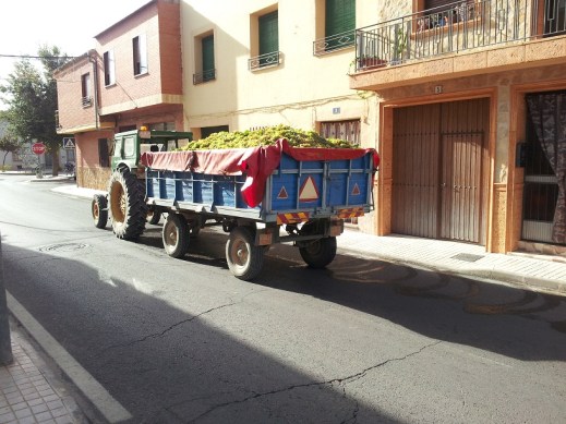 tractor, pueblo, uvas, remolque, desarrollo rural