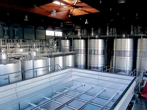 cooperativa vitivinícola