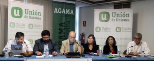 Jornada Sevilla Propuestas Electorales