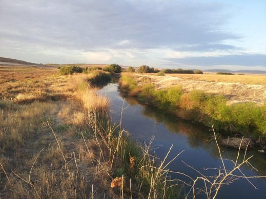 Canal de depuración
