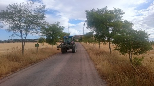 Profesionales del campo
