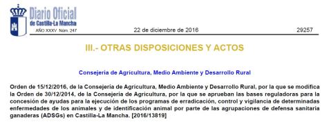 Bases Reguladoras ADSG CLM