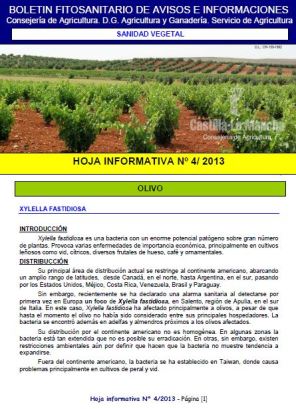 Xylella fastidiosa CLM