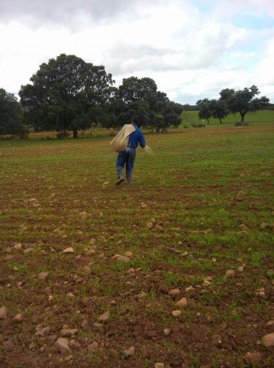 Cotización a la Seguridad Social Agraria