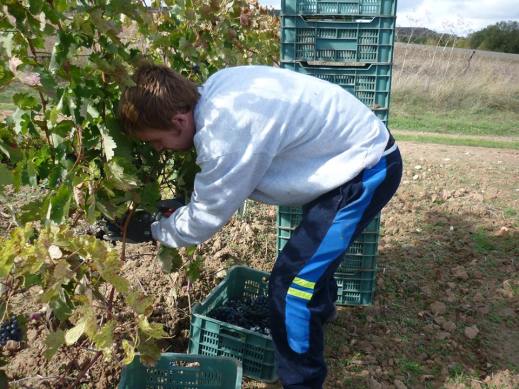 castilla la mancha ampliación crédito jóvenes.pdf