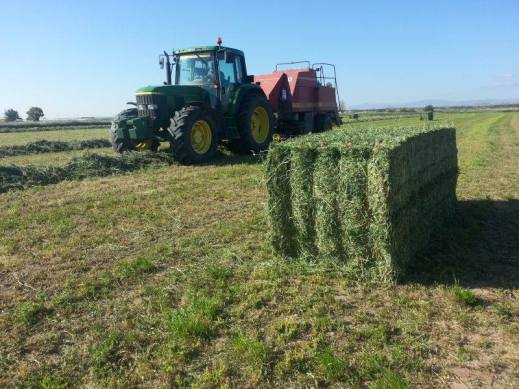 Beneficiarios de la PAC