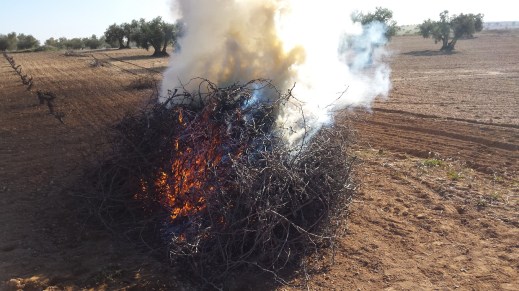quema restos agrícolas