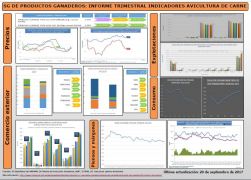 Seguimiento sector avícola carne
