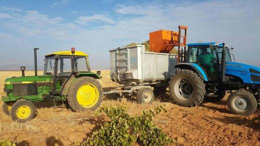 Seguro Uva de Vinificación