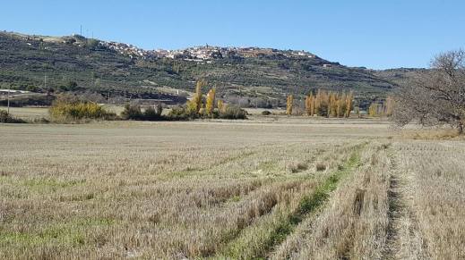 Ayudas CLM zonas montaña limitaciones naturales