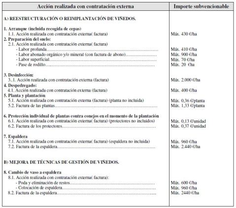 Reestructuración Viñedo CLM importes máximos contratación