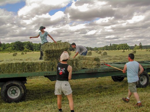 Ayudas Jóvenes Agricultores e inversiones