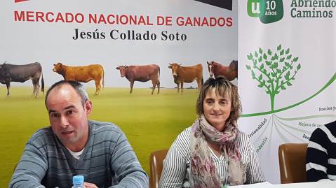 presidente vicepresidenta