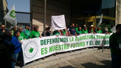 48245507-dced-420a-b7ec-771f9f9355e0