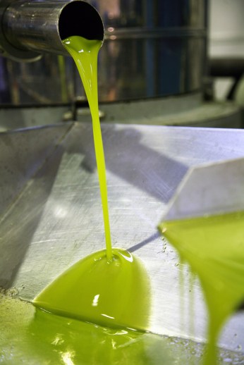 Extensión de norma aceite de oliva