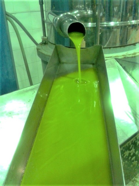 Almacenamiento privado aceite de oliva