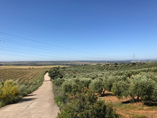 Cesiones de derechos PAC