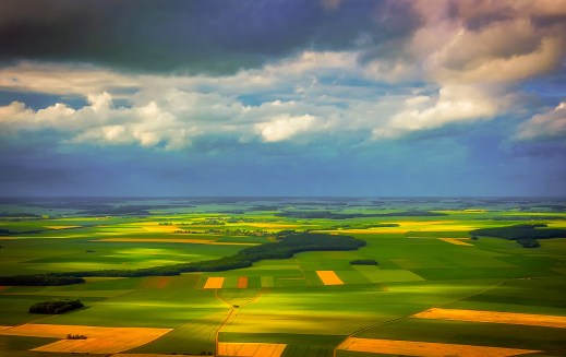 Diversificación de cultivos (2)