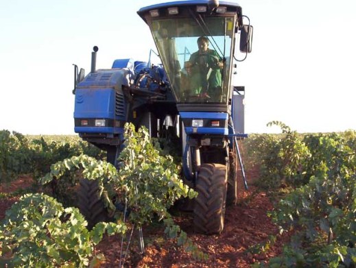 Expedientes AICA Vino