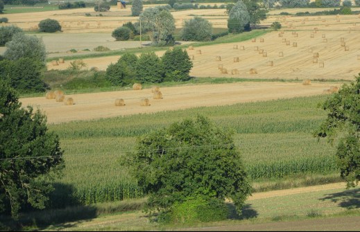 PAC crisis coronavirus