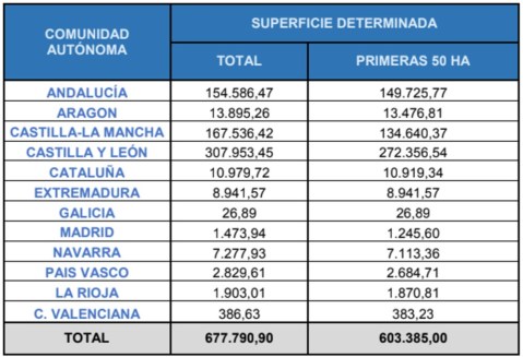 Superficie Oleaginosas