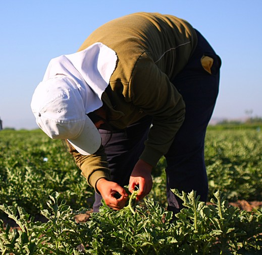 crisis coronavirus agricultura