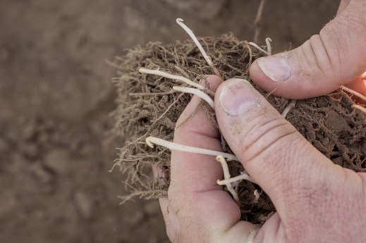 cose de acceso a la tierra