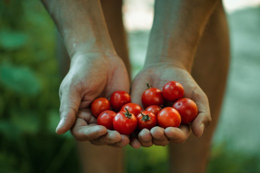 Condicionalidad Social de la PAC