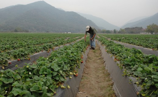 REforma de la PAC condicionalidad social